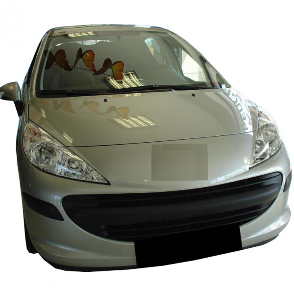 Protection De Coffre PEUGEOT 207 BERLINE 2006 2012 Protection