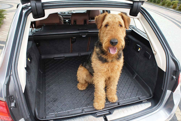 AZOOB Tapis Coffre Voiture dédié Chien, pour Jeep Renegade Doux Confortable  Facile à Nettoyer intérieure Voiture Animaux Tapis,B