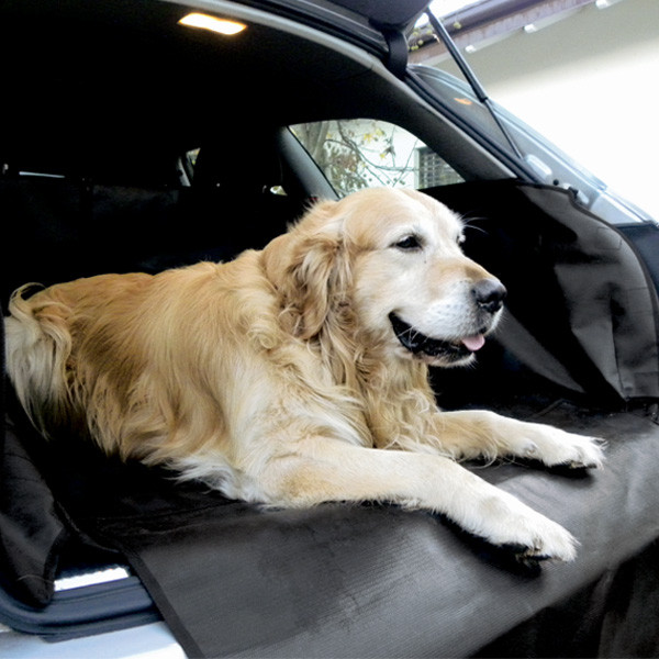 Tapis Protection Coffre Voiture Chien - Cover Company France