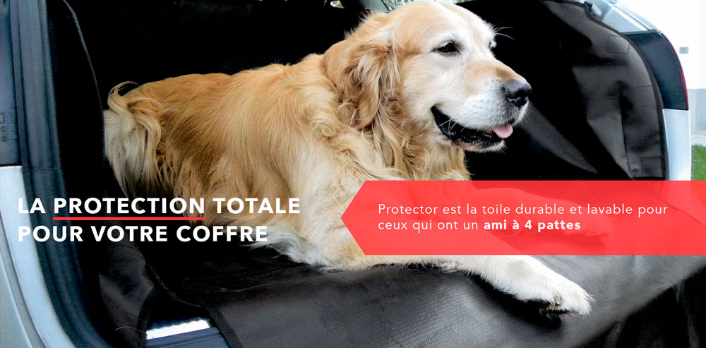 Tapis coffre de voiture motifs pattes de chien